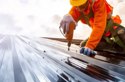 Travaux de zinguerie à Ruy-Montceau